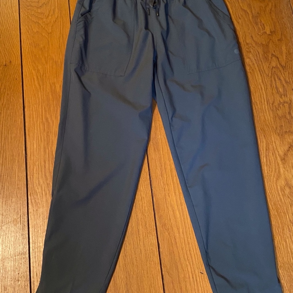 Apana Gray Parachute Pants